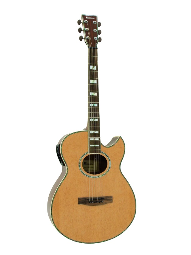 elektroakustická western kytara s výkrojem, 5-pásmový ekvalizér