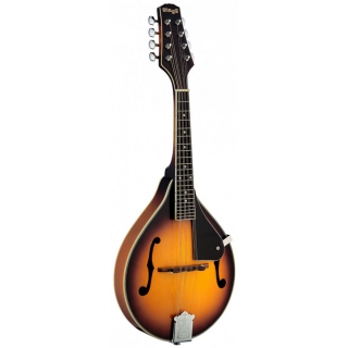Bluegrassová mandolína
